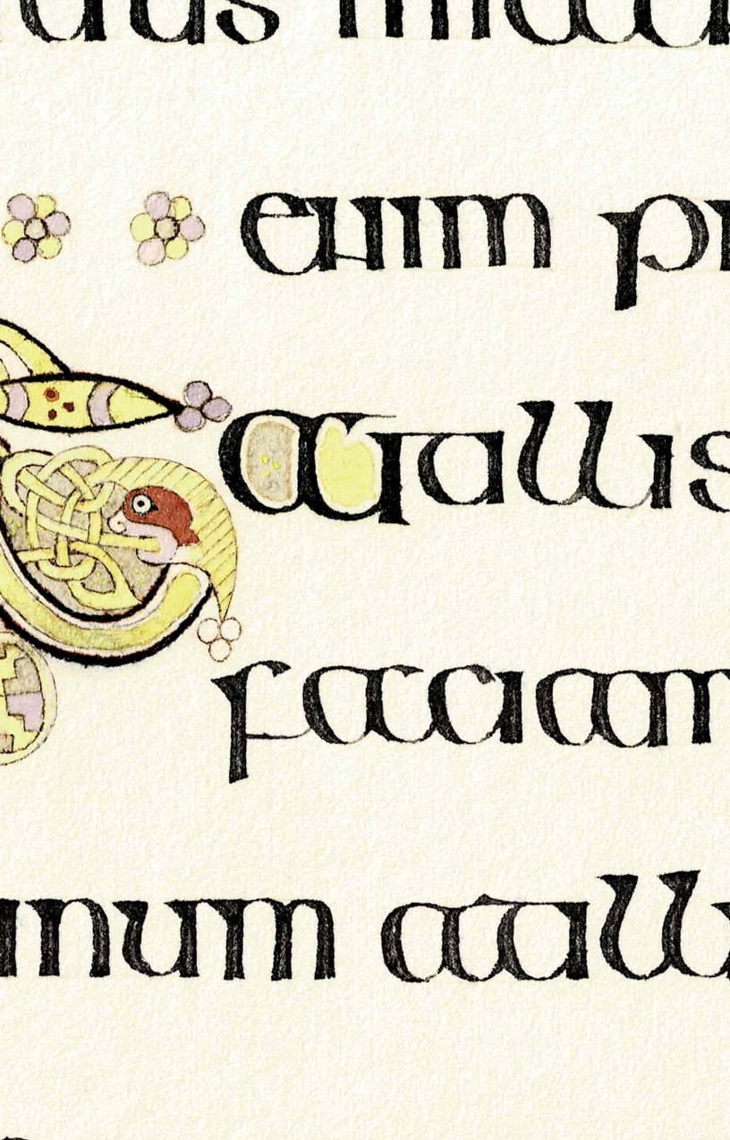 Detail iniciály s keltským uzlem a ptačí hlavou a písma irské polounciály.