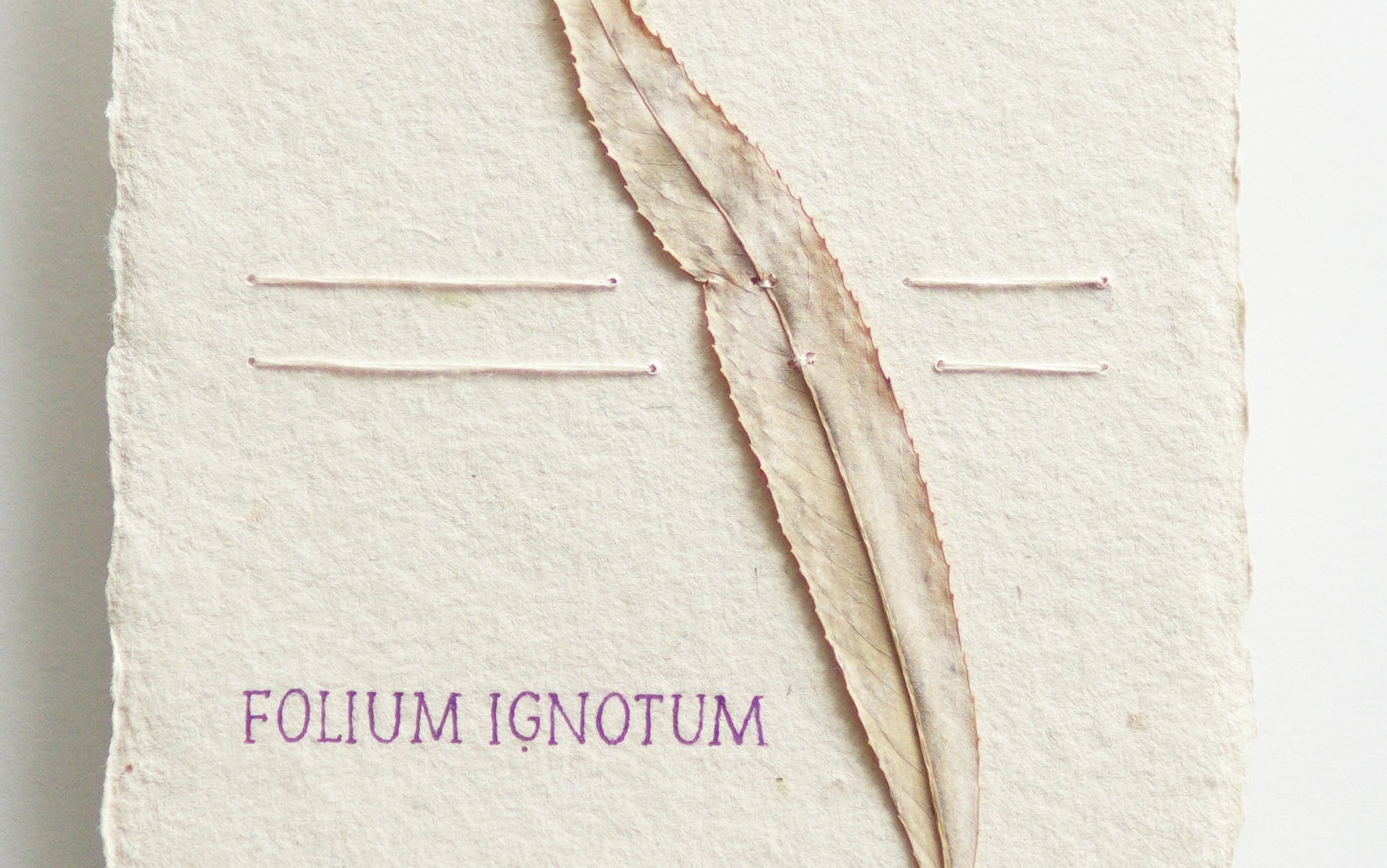 Detail listu, vyšitých linek a fialového nápisu Folium ignotum.