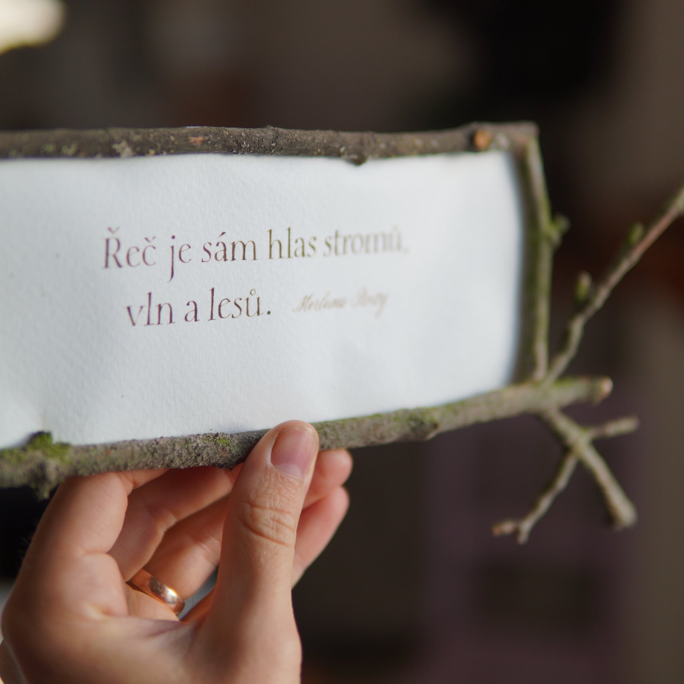 Detail nápisu psaného antikvou a rámečku z větviček.