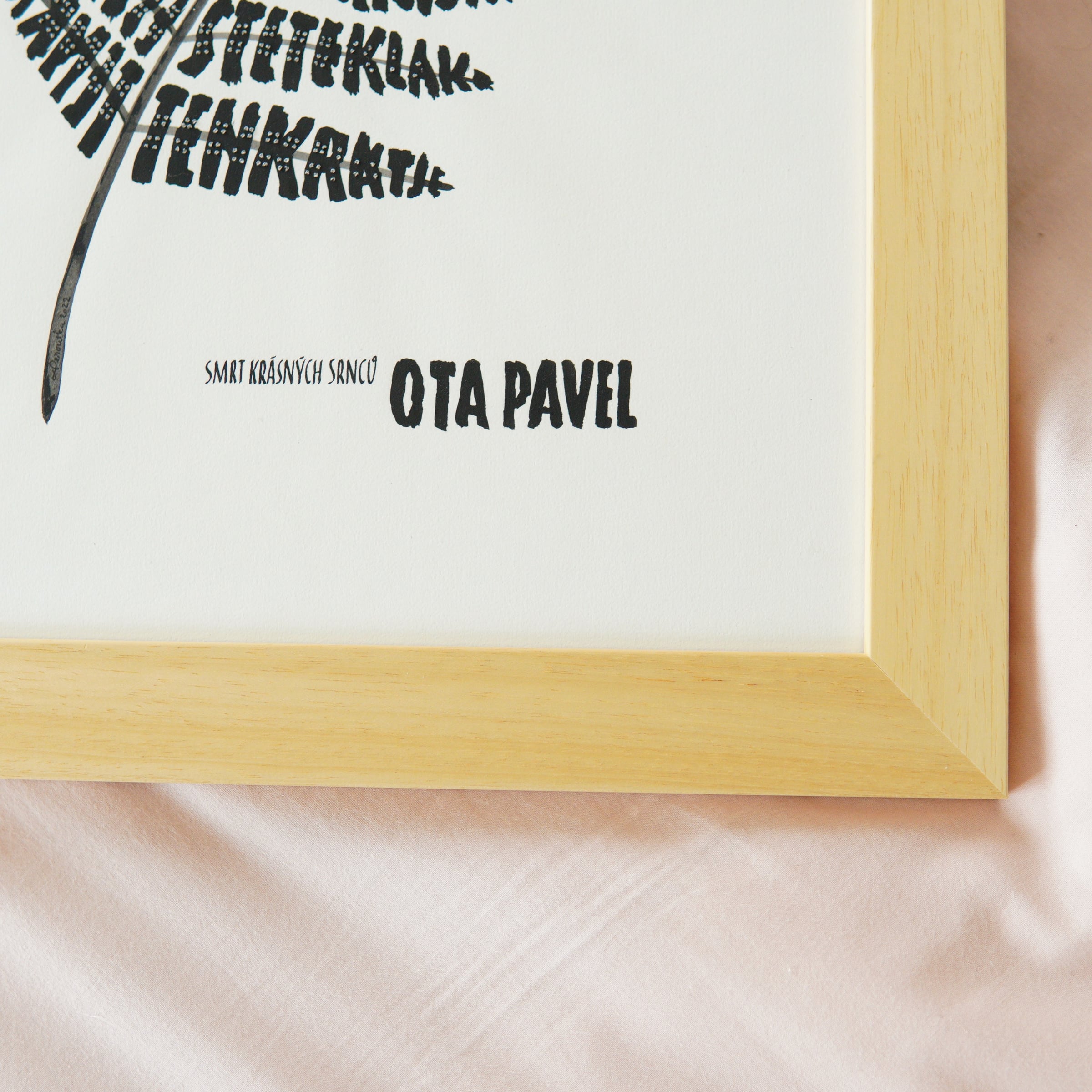 Detail spodní části kapradiny a nápisu Ota Pavel.