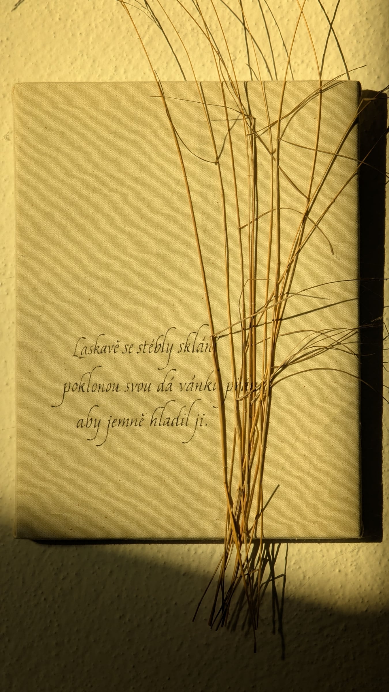 Detail plátna s textem a stébly trav ve slunci.