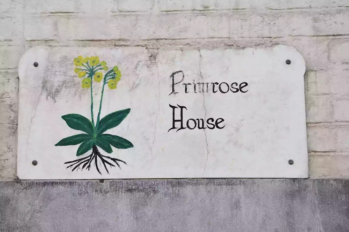 Malovaná cedulka Primrose House s prvosenkou